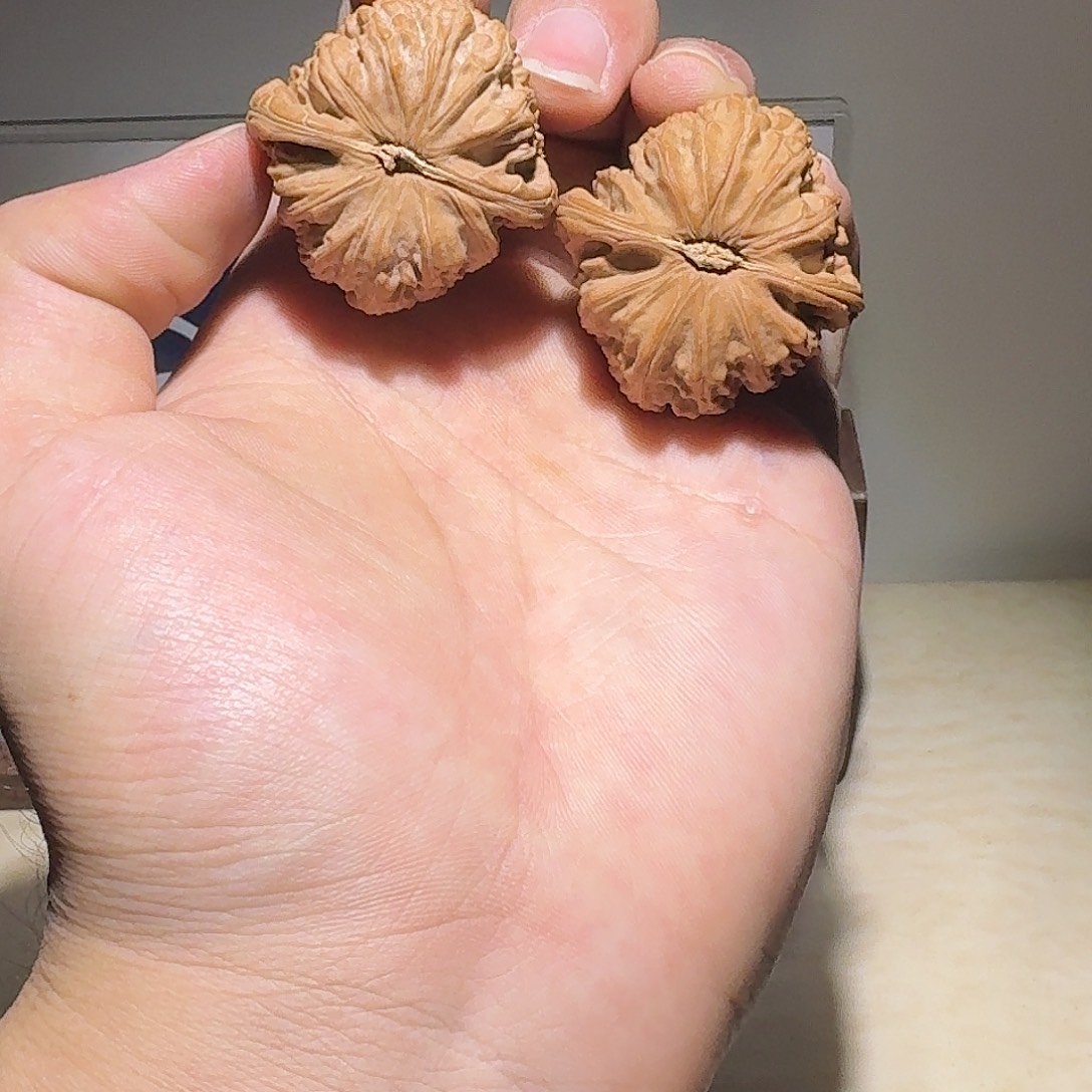 C****吊坠文玩核桃三角白