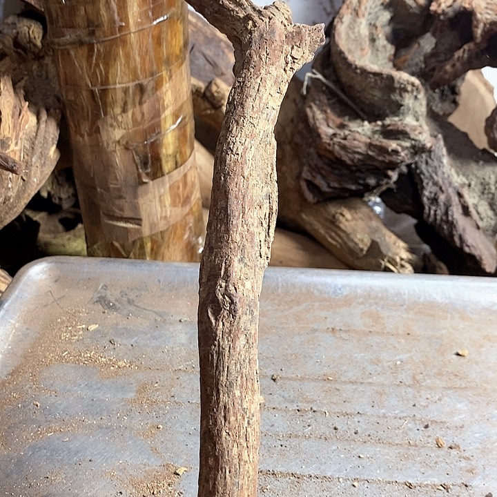 黄花梨/降香黄檀用****9