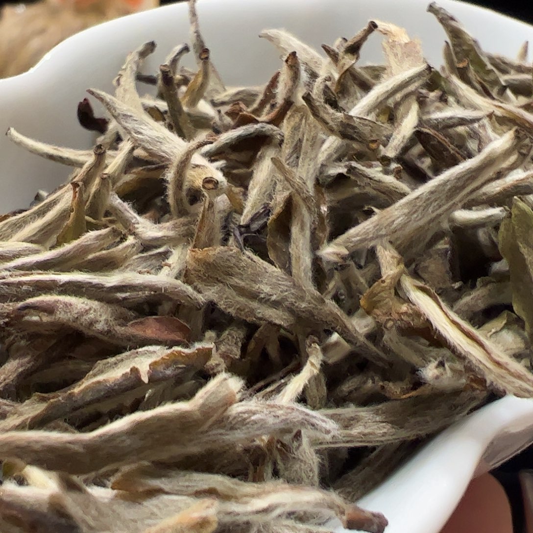 紫砂双12活动2020荒野私藏银针100克送10克