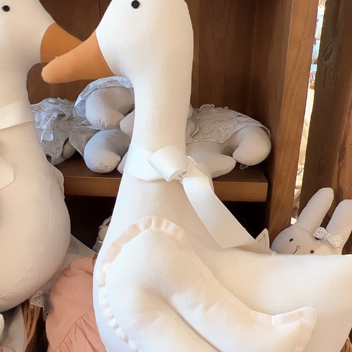 雨妈推荐好看的鹅