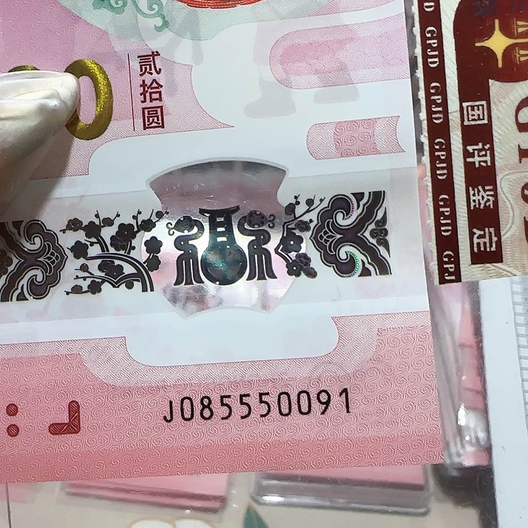 纸085550091金马车豹子身