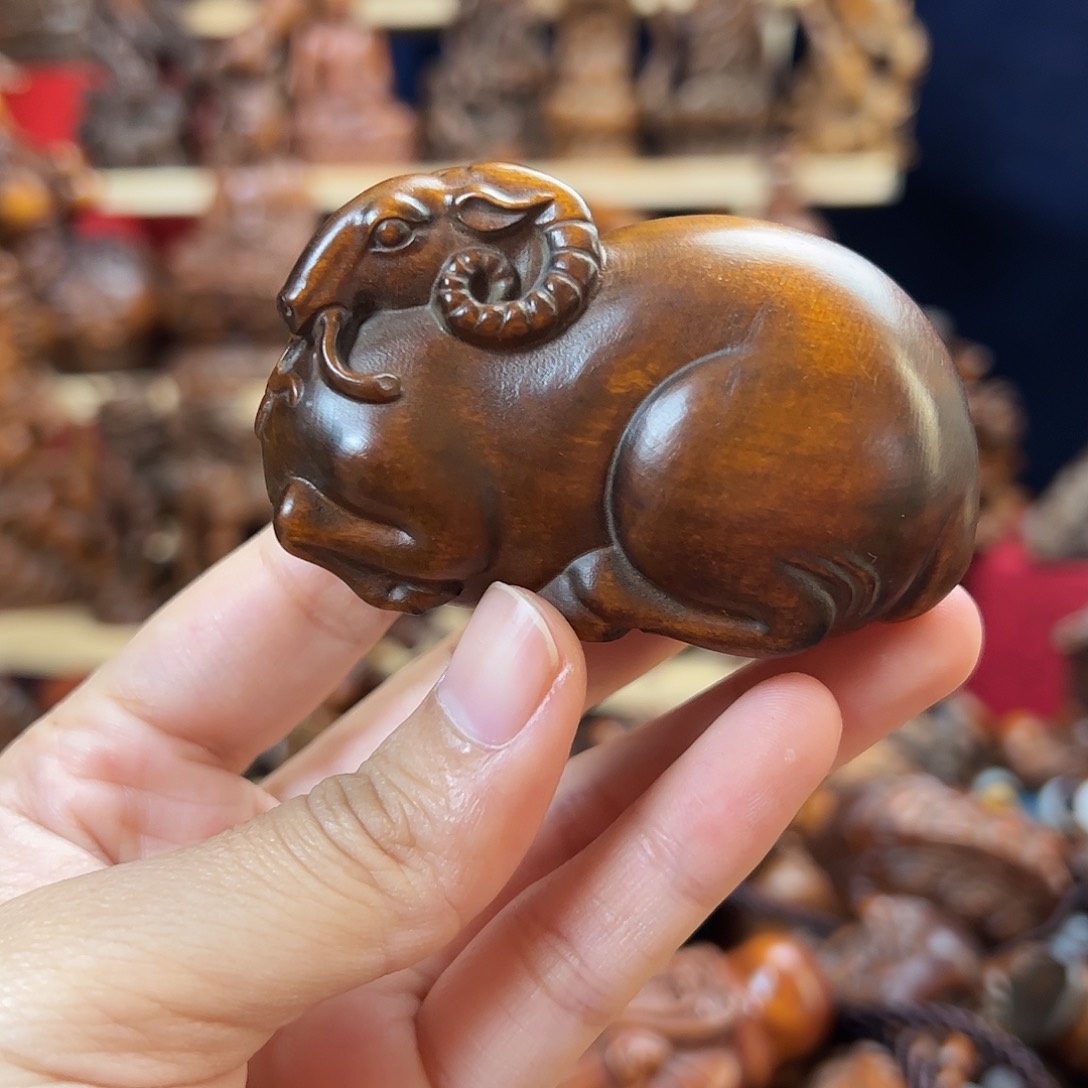 黄杨木小叶黄杨木