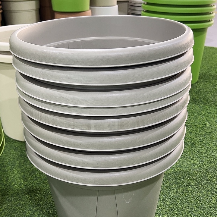 微瑕青山口40高34灰白带托5只