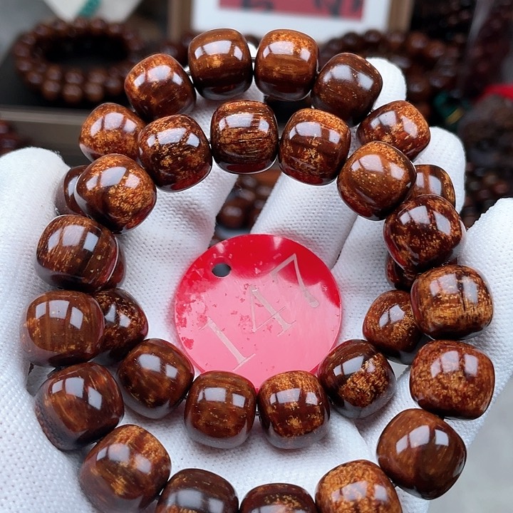 贡木其他多样性发其一1314