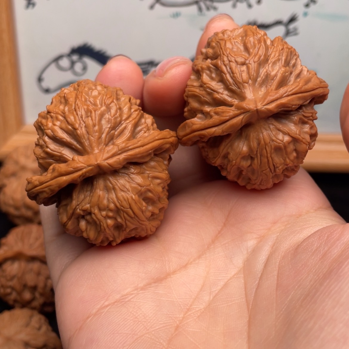 【闪购商品】文玩核桃把件40全品蓟县元宝