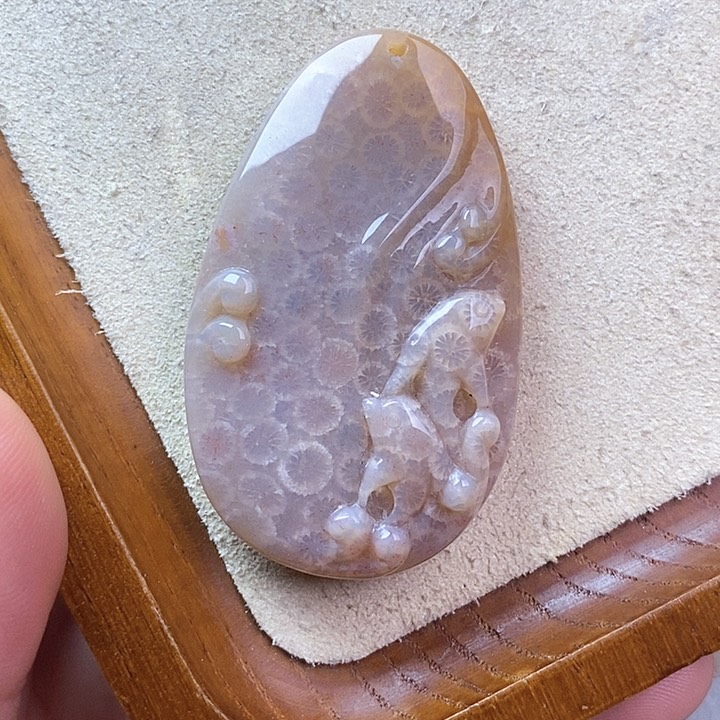 硅化玉颈饰未镶嵌