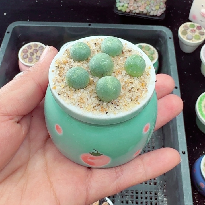 358零下地区记得拍保温箱