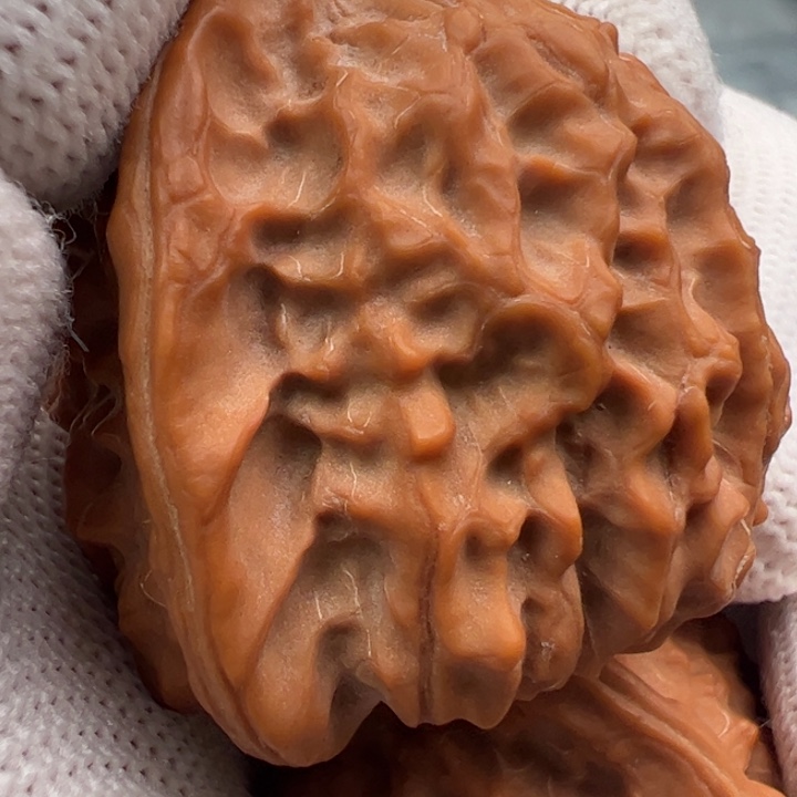 文玩核桃把件╰****╯清水狮子头180