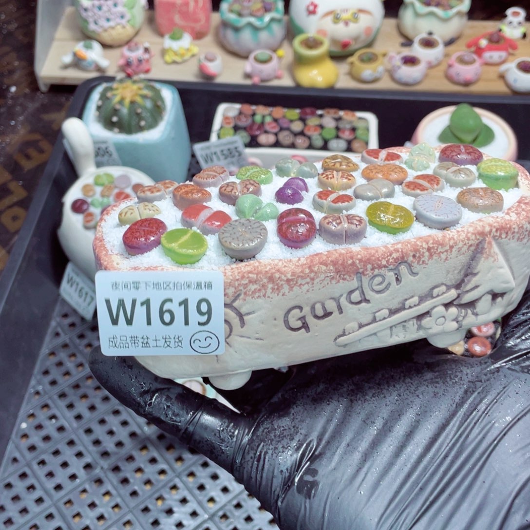 夜间零下地区拍保温箱w1619