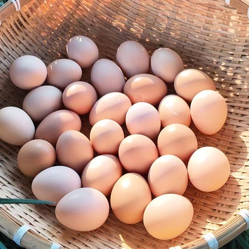 到手10个损坏包赔