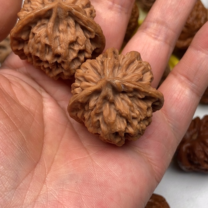 宋*明三棱888888888