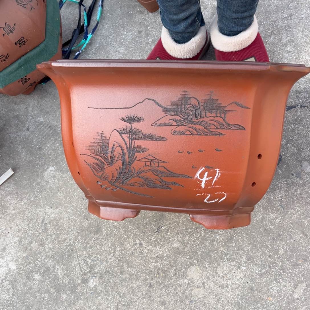 紫砂花盆盆景艺术