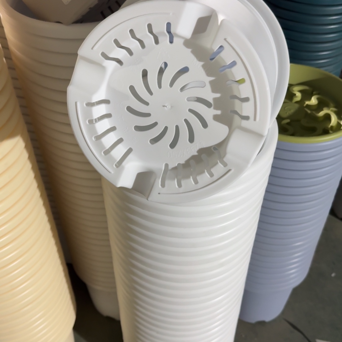 四季5号10个白色口径29高25