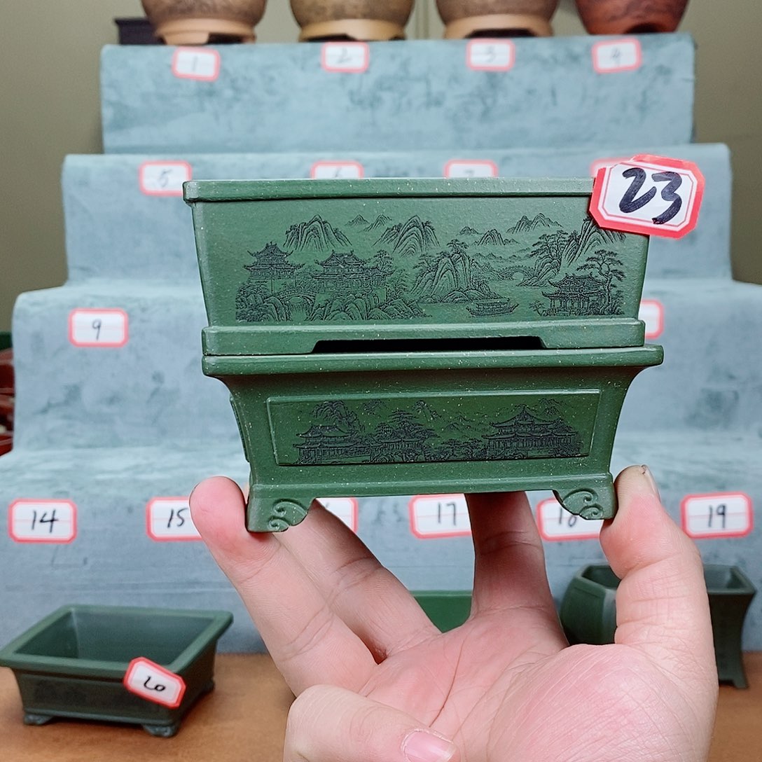 紫砂花盆我在等一