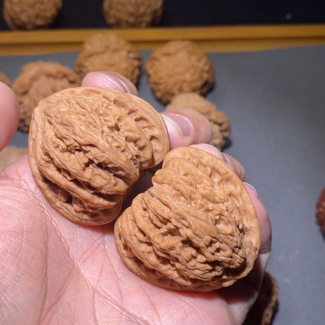 木质41山西密文全品