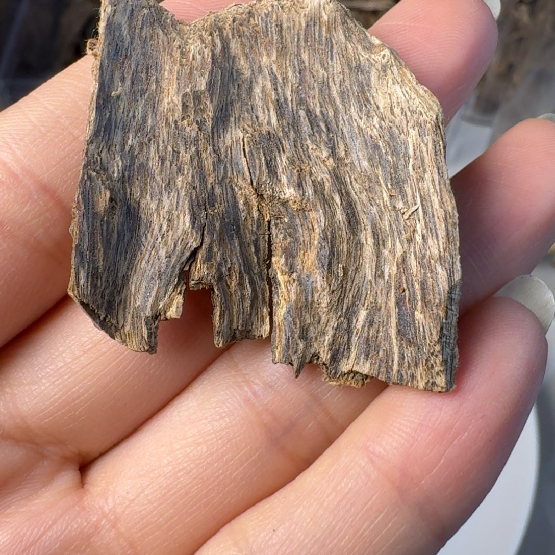 l***a沉香沉香碎屑海南沉水虎斑棋2.36克