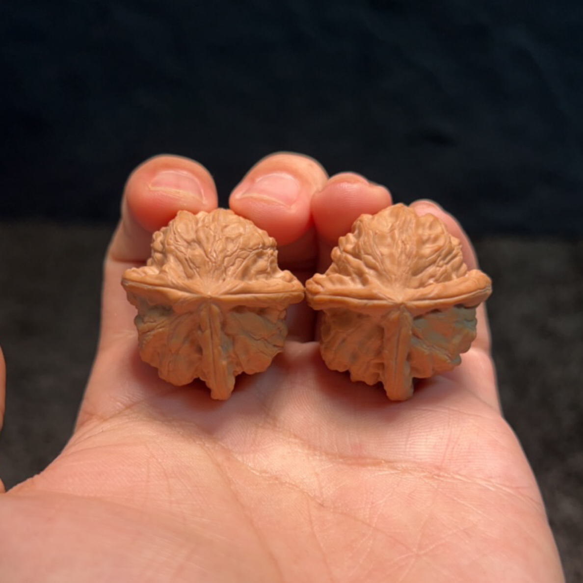 文玩核桃 原生树赤兔 三棱 13008号 33尺寸