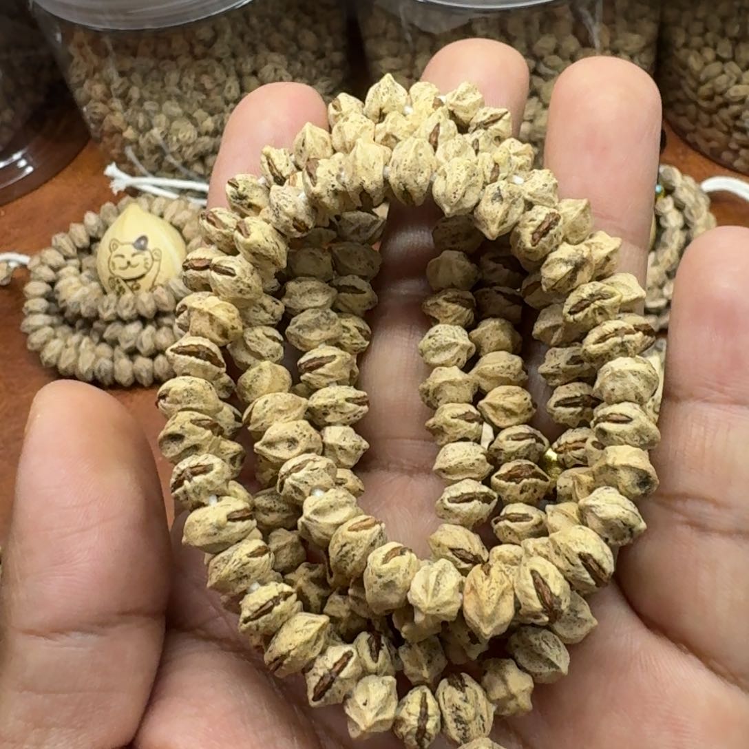 柏香籽/百香籽吊坠可**?