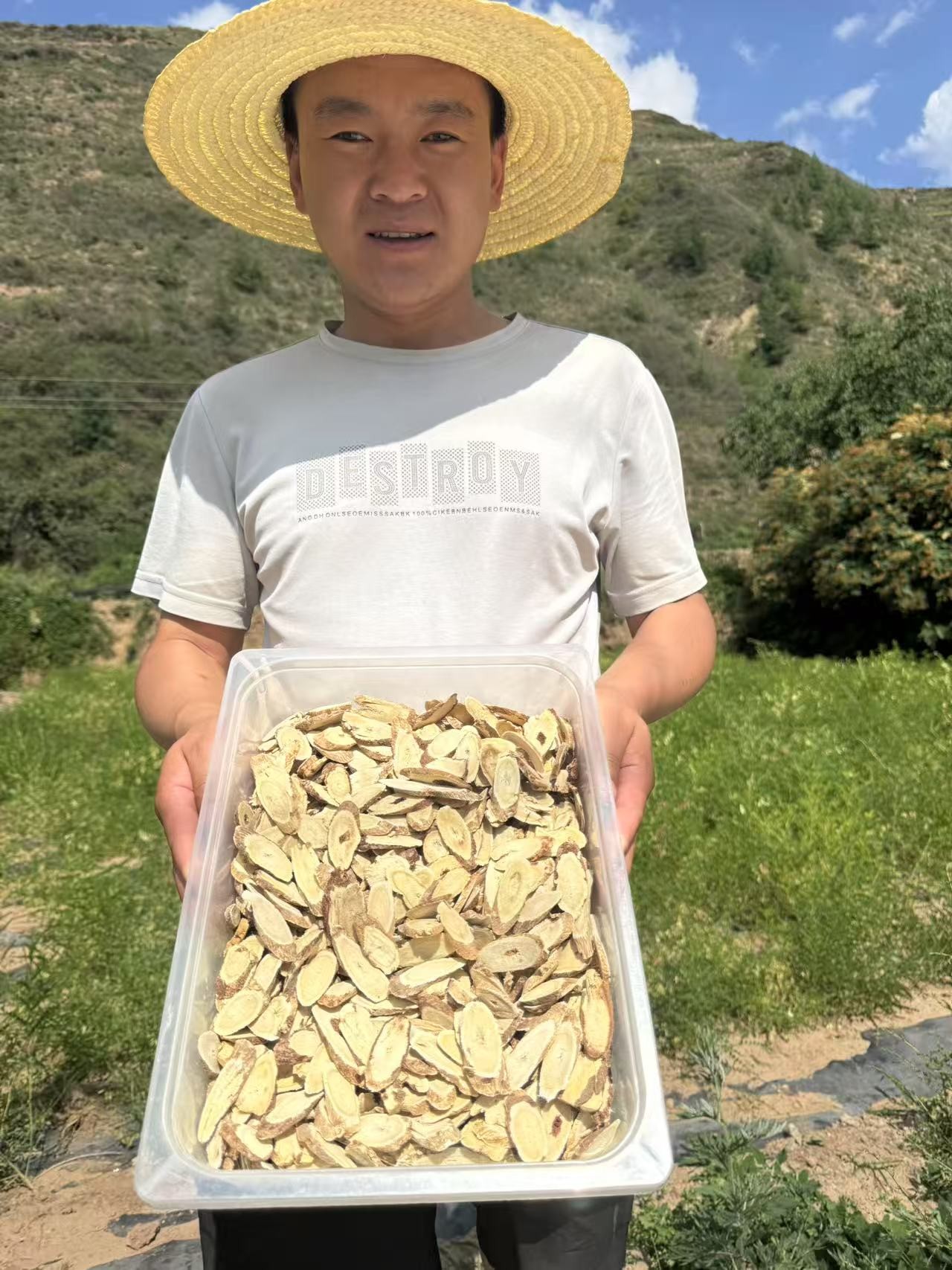 【老黄芪】主根切片无熏硫甘肃岷县原产地直发煮水煲汤