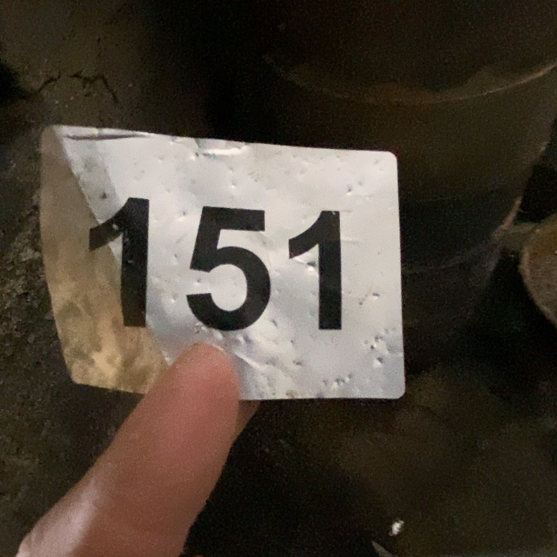 上***球茶宠通天龙窑通天龙窑