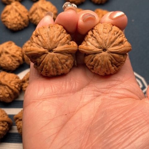 橄榄核手串/手链A****供莲花34