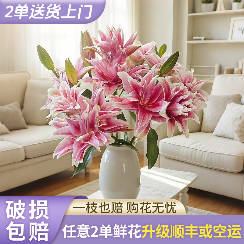 【源头优选】艾琳娜重瓣香水百合花水养插花用云南直发鲜花