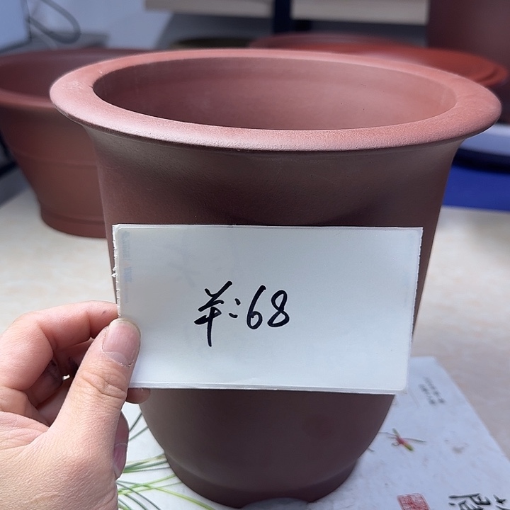 春秋花盆精品兰盆