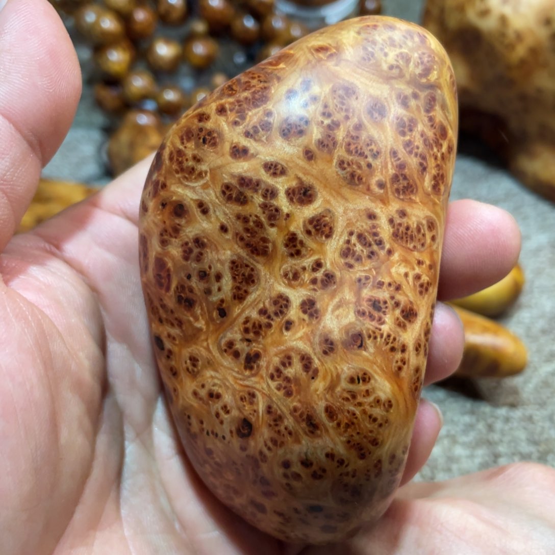 柏木（崖柏）其他把