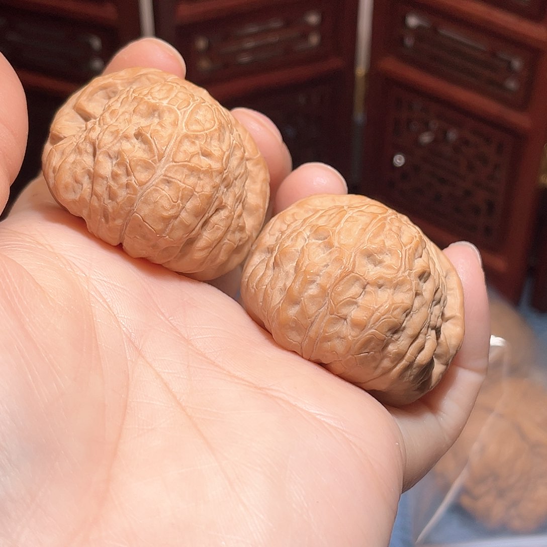 随*40全品南瓜墩……