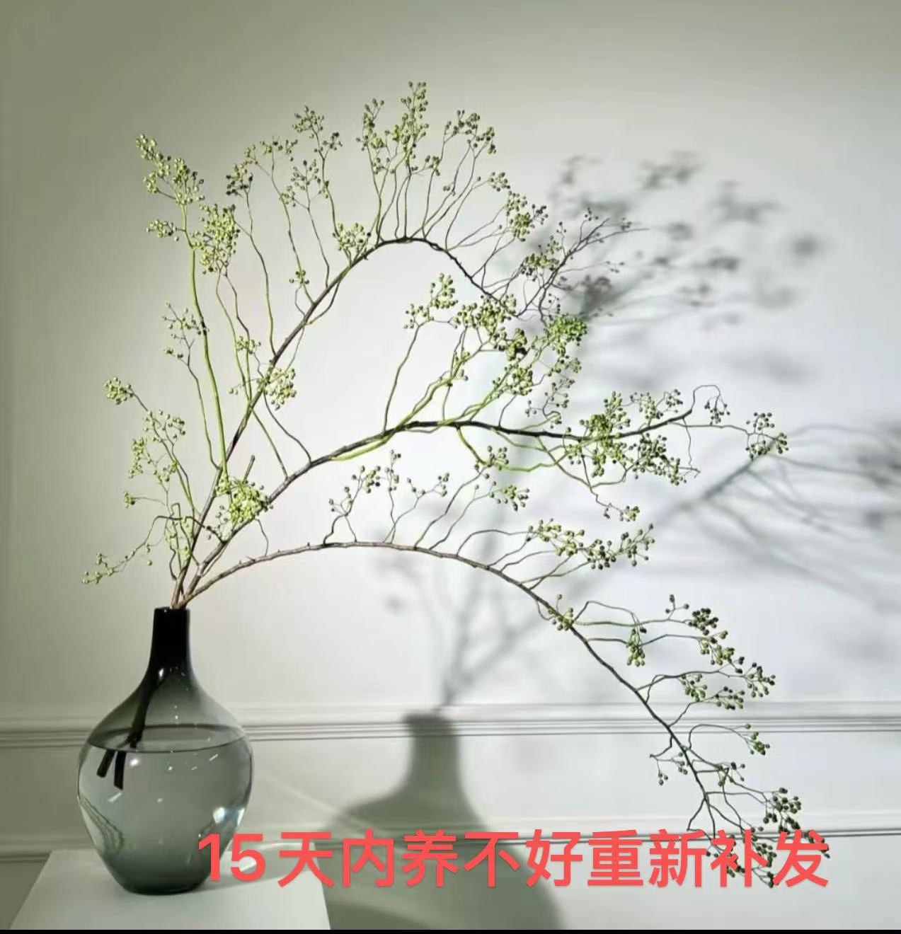 小众高品质山归来鲜切花水培插花禅意室内绿植