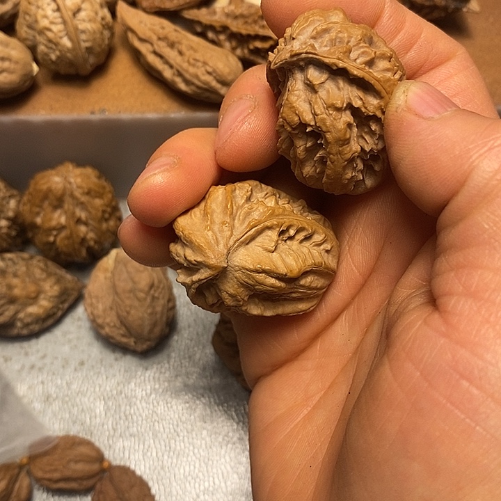 文玩核桃吊坠不错