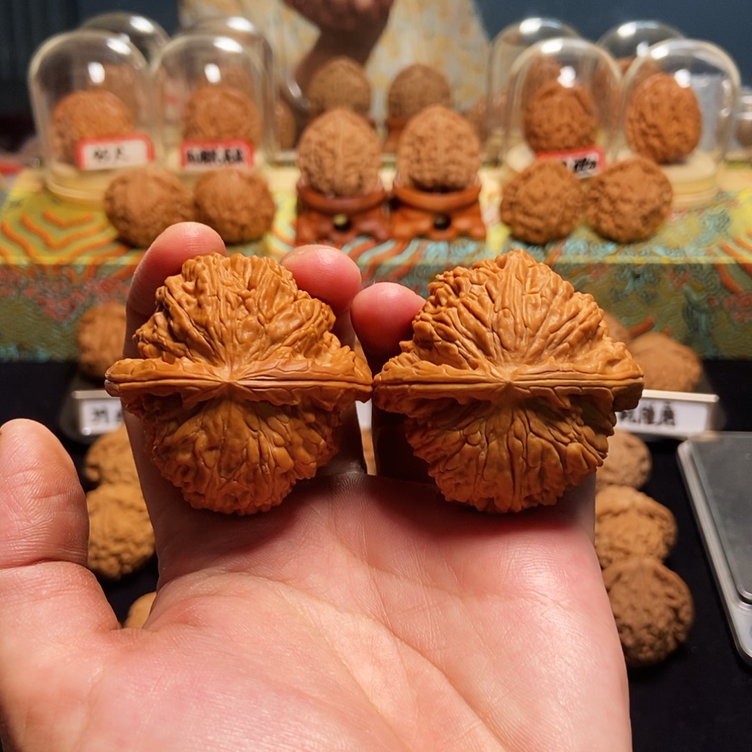 吊坠文玩核桃48白狮子有修精打底
