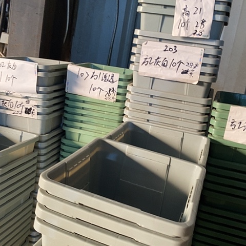 树脂编号203无托10个