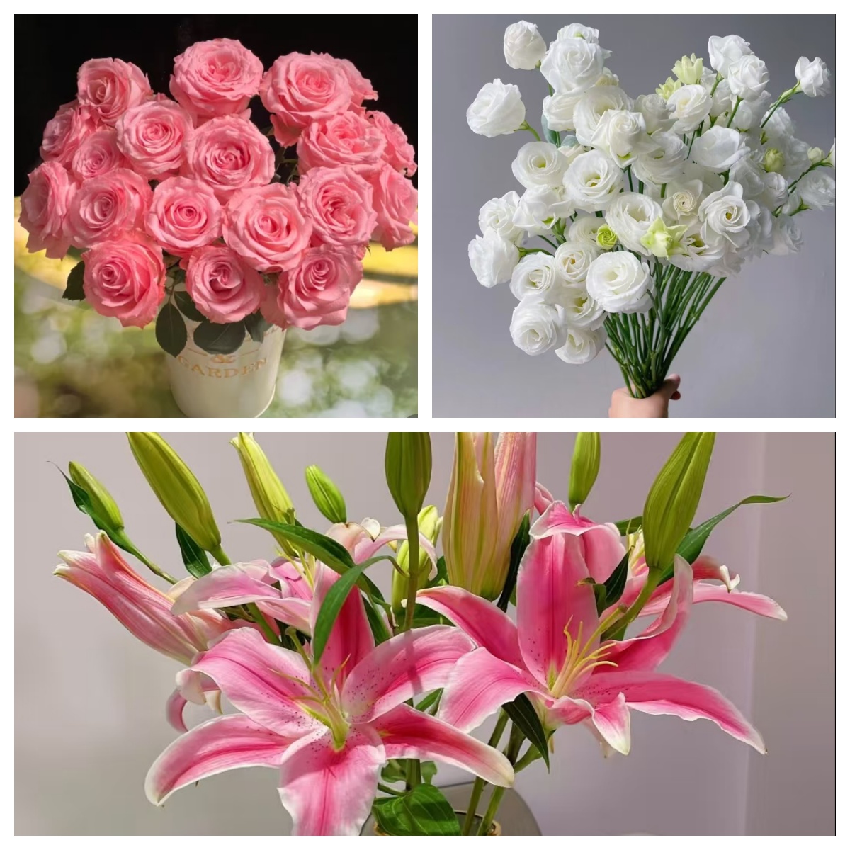 【安娜玫瑰6支+白色洋桔梗200g+粉百合3-4头  】2单升级顺丰/德邦