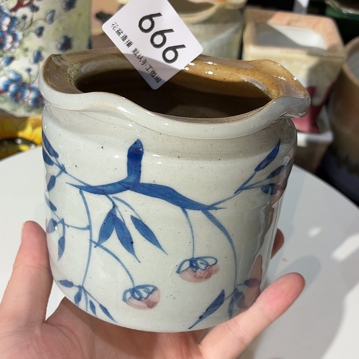 花盆花盆花盆花盆福利