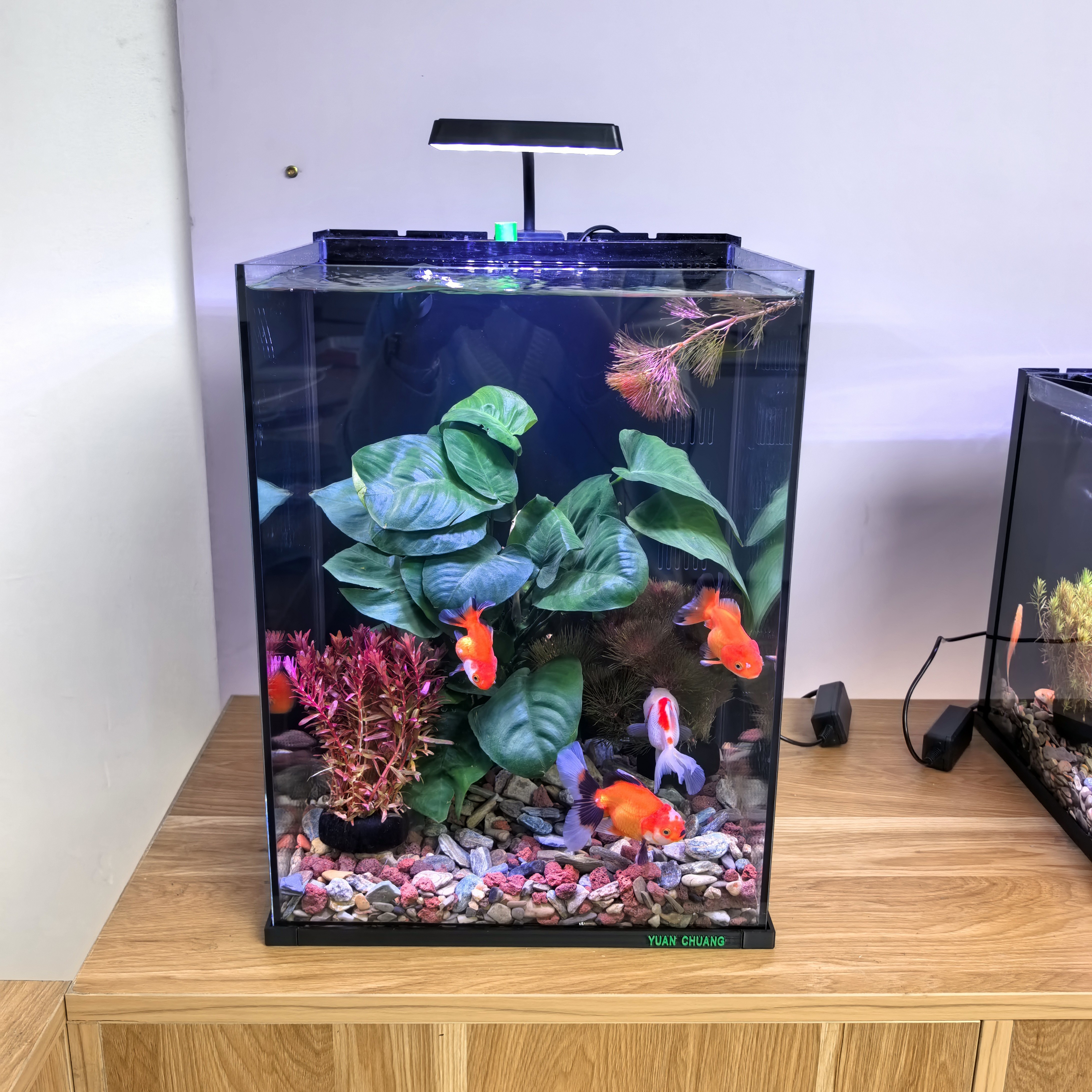 小型超白玻璃侧滤制氧一体式客厅家用鱼缸