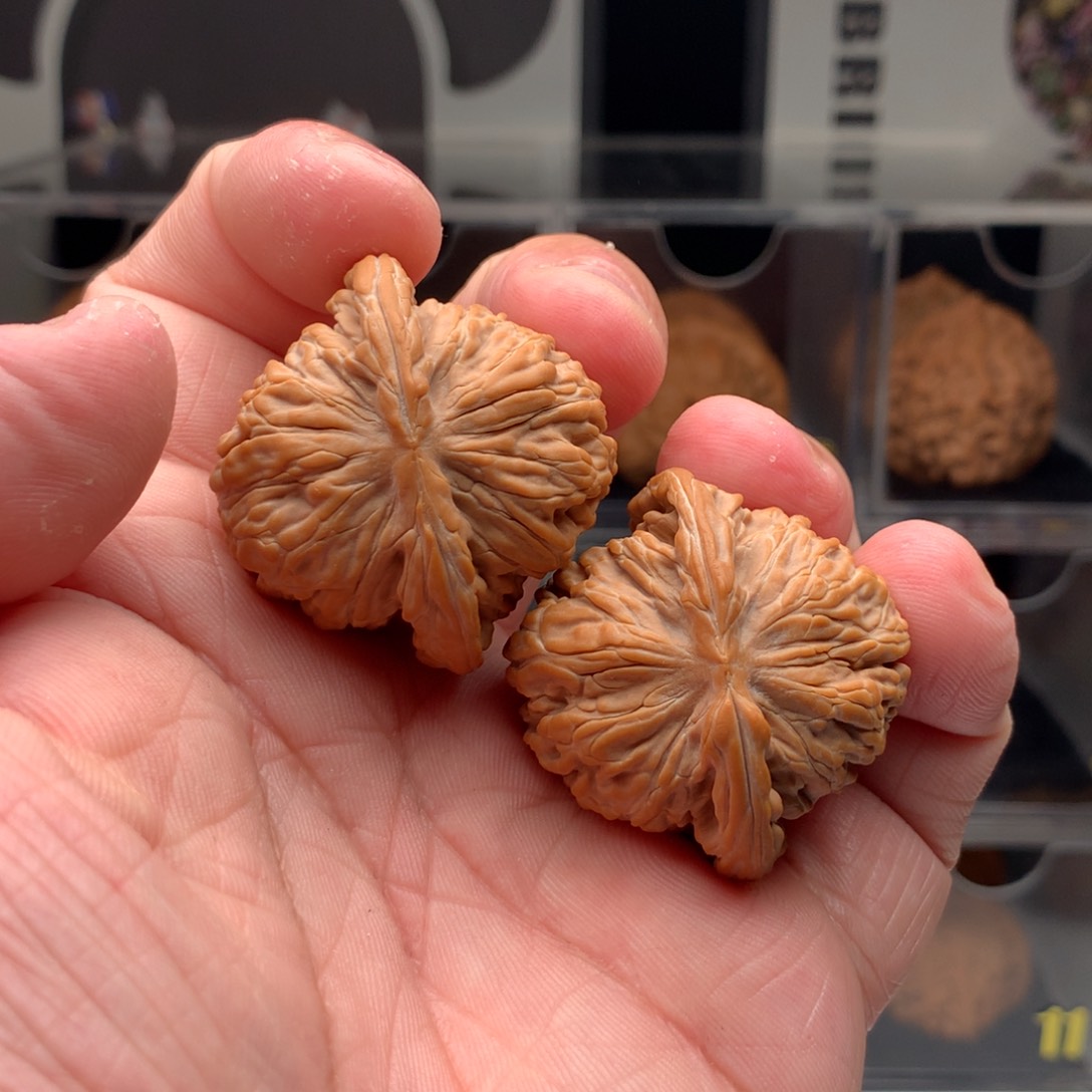 桃核吊坠贝*贝文玩核桃65566558569