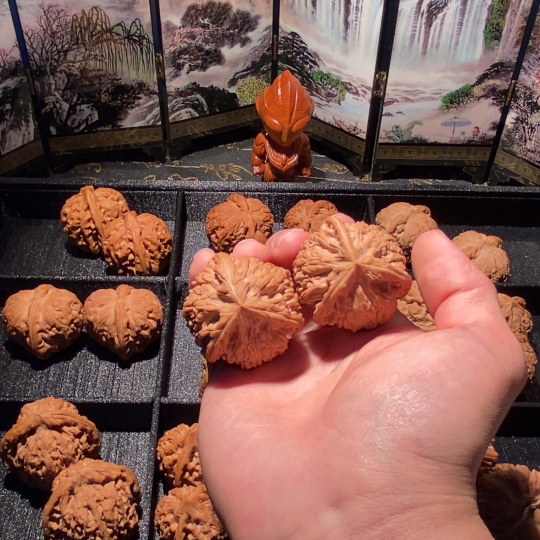 岩***️大叶紫檀（黑酸枝木类）