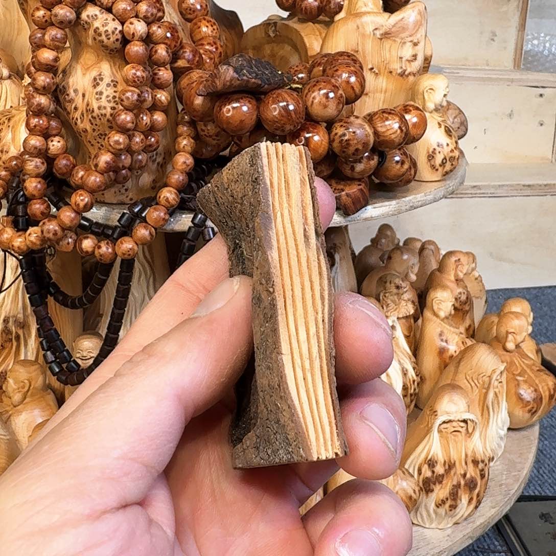 柏木（崖柏）111111111111