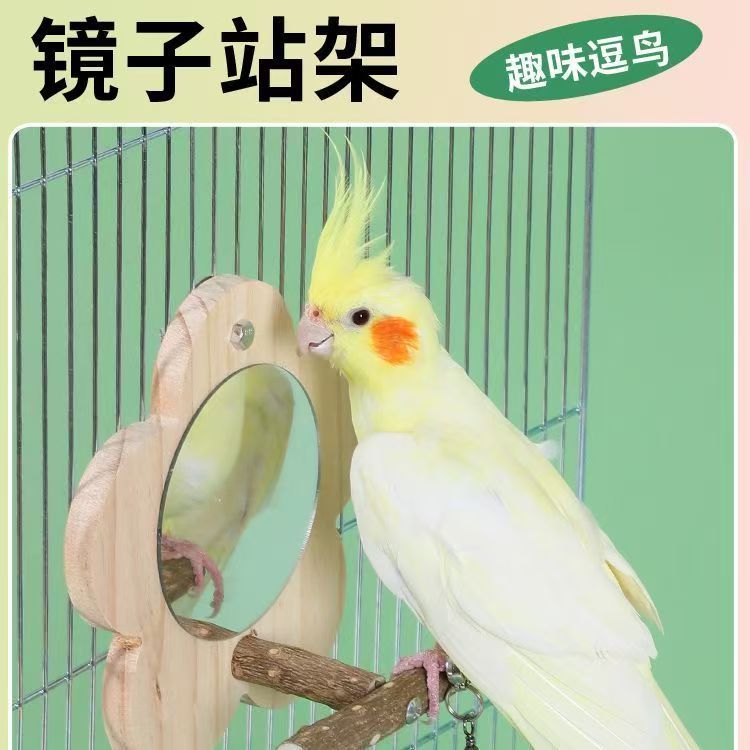 手工制作虎皮牡丹用品镜子站台鸟笼架杆玩具鹦鹉玄凤花椒木