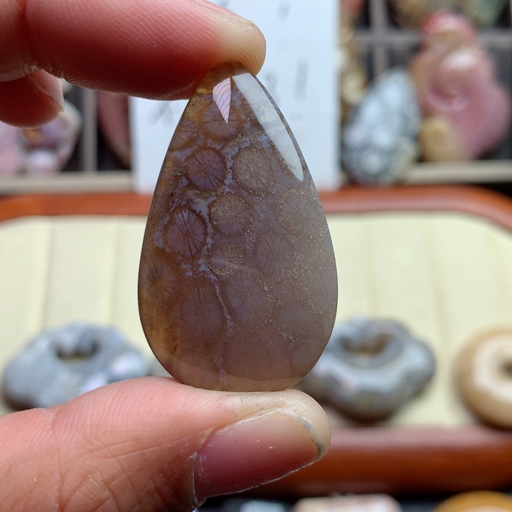 硅化珊瑚（珊瑚玉）颈饰未镶嵌