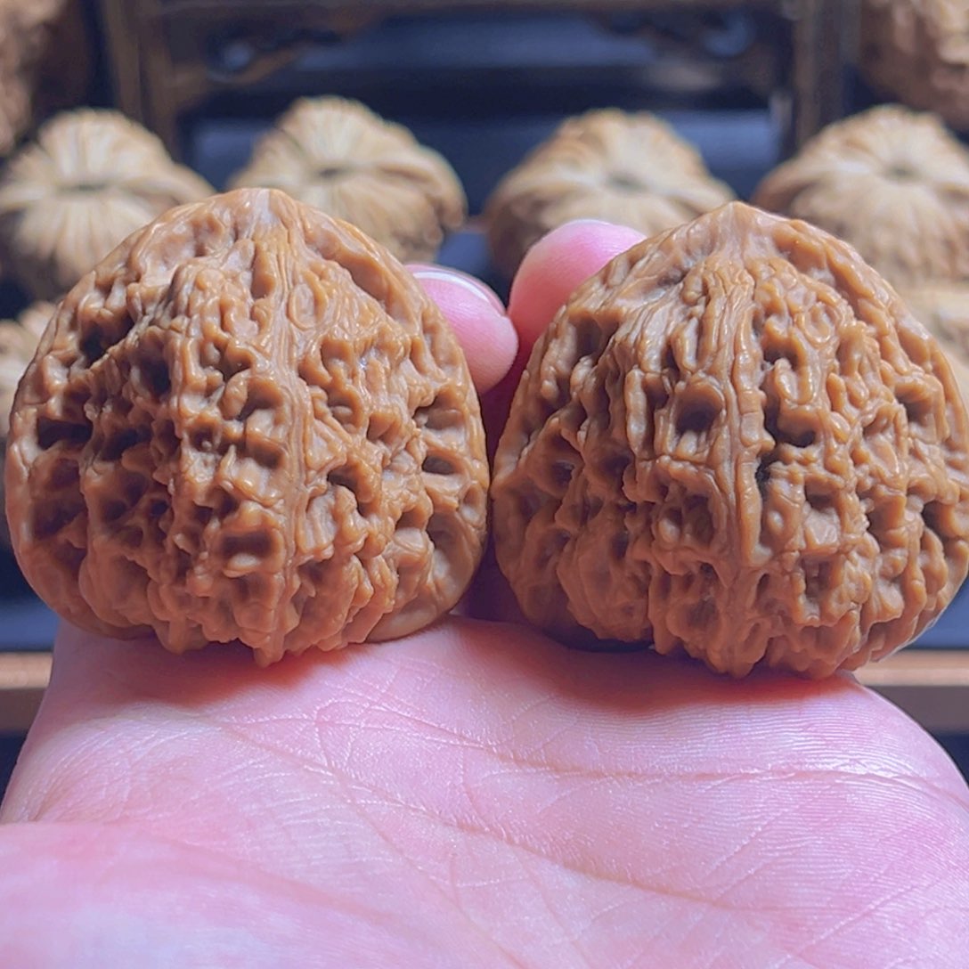 文玩核桃把件养***惯43三角疆