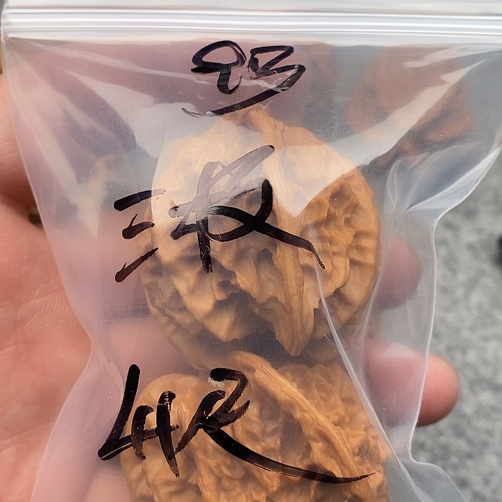 文玩核桃吊坠三棱