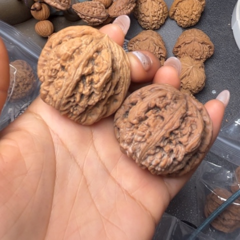 吊坠文玩核桃大粗筋