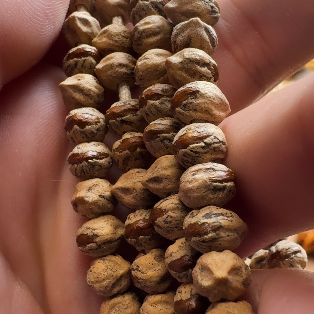 柏香籽/百香籽吊坠红牙横打