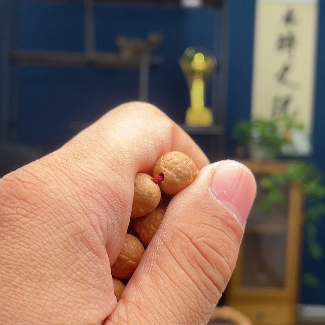 凤眼菩提吊坠玩****好菩提17