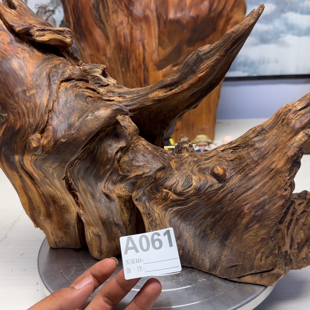 胡***柜木哦哦哦哦哦哦哦