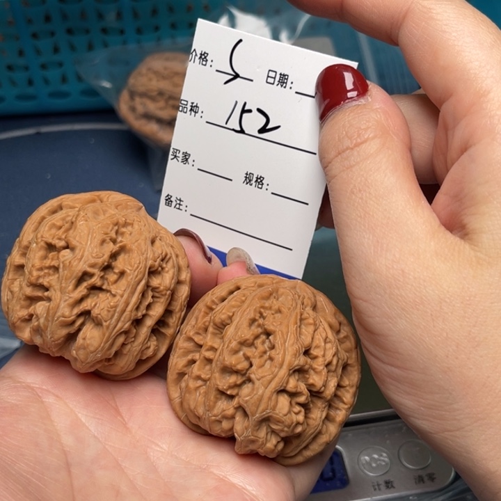 文玩核桃把件粗筋46