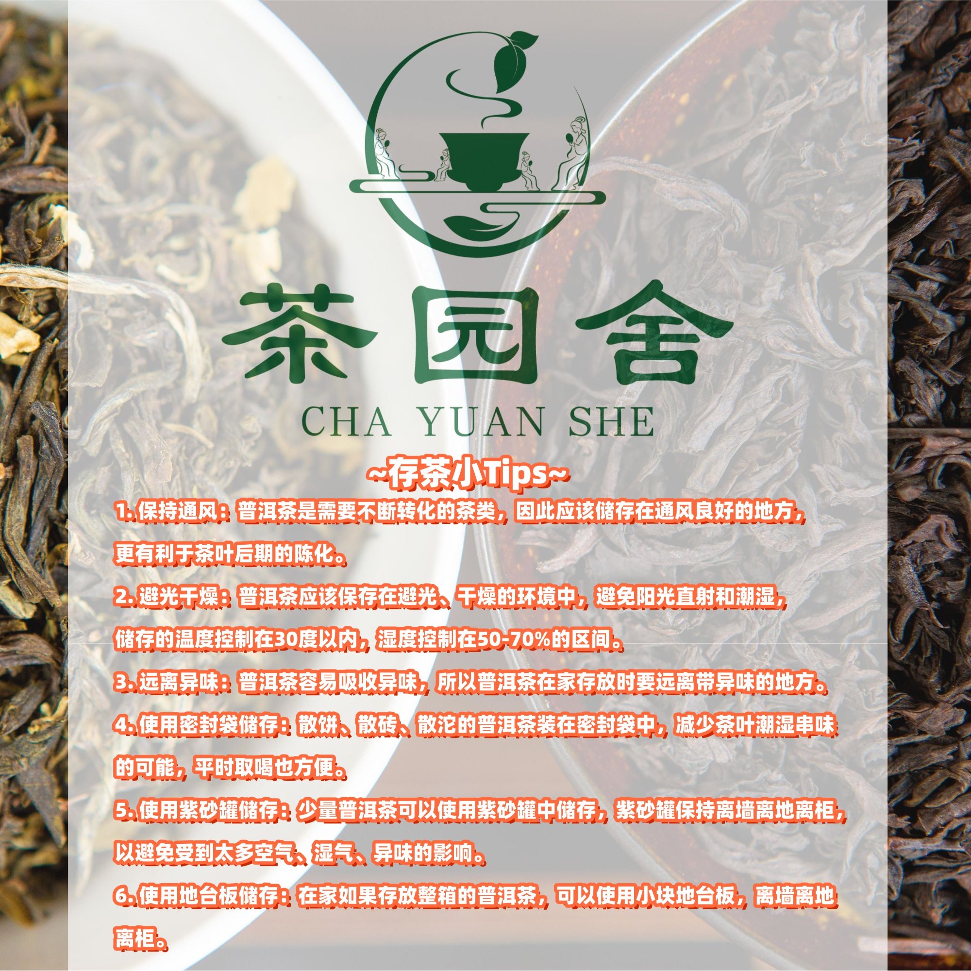 早鸟场【绿大树】兴※海 2010年 生茶 普洱茶