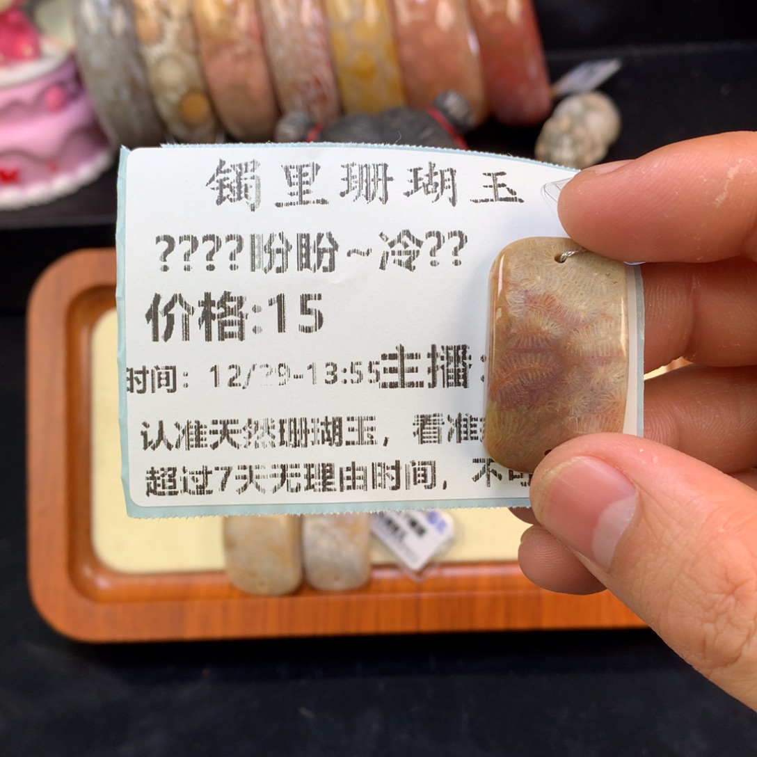 *****硅化珊瑚（珊瑚玉）未镶嵌颈饰